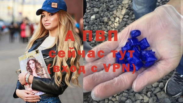 apvp Верея