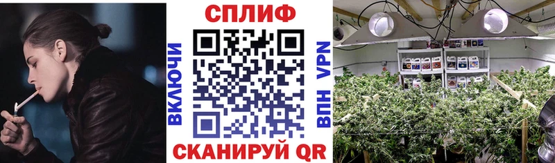 Бошки Шишки THC 21%  Купить  Серов 